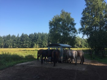 Afbeelding invoegen