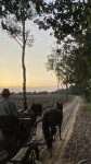 Ondergaande zon