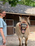 Masterson cursus wordt gewaardeerd door Izan