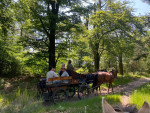 Langs de oude lanen