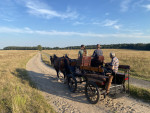 Avondrit over de Mossel (Planken Wambuis)