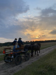 Avondrit Mossel (Planken Wambuis)
