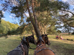 Picknick Eder heide